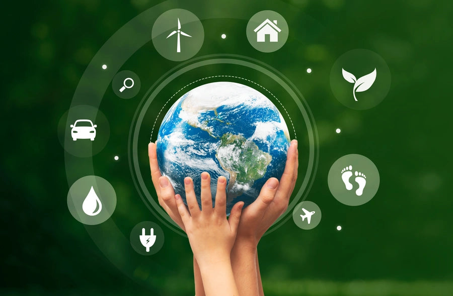 Eco-Friendly Dishwashers: Understanding the Energy Star Rating